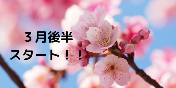 桜の花が咲いている写真